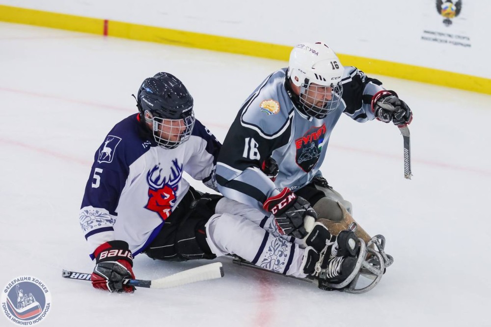 Восемь сильнейших команд сыграли в Дзержинске в первом круге ЧР Восемь сильнейших команд сыграли в Дзержинске в первом круге ЧР