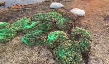 Житель Башкирии незаконно выловил около 7 тыс. раков Житель Башкирии незаконно выловил около 7 тыс. раков