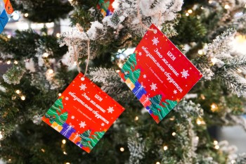 Новогоднее настроение в Нижнем Новгороде