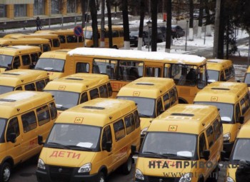 Почти 420 школьных автобусных маршрутов будет работать в Ульяновской области
