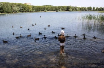 14 пляжей Нижнего Новгорода начнут работать с 1 июня
