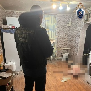 Уже привлекавшаяся за насилие в отношении мужчин жительница Нижегородской области подозревается в убийстве сожителя