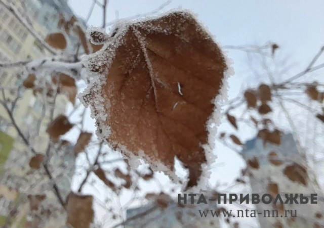 Заморозки до -3°С ожидают в Башкирии 2 мая
