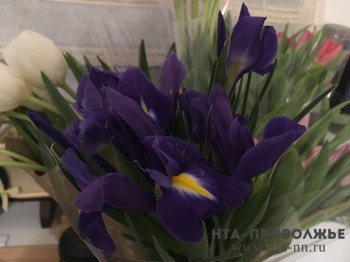 Цветочных ярмарок к 8 Марта в Нижнем Новгороде не планируется