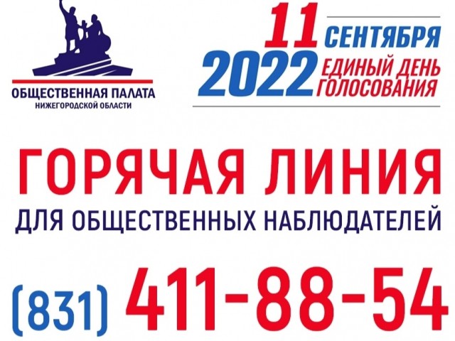"Горячую линию" для наблюдателей на выборах организовали в Нижегородской области