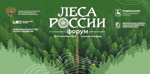 В Нижнем Новгороде пройдет Всероссийский форум «Леса России» В Нижнем Новгороде пройдет Всероссийский форум «Леса России»
