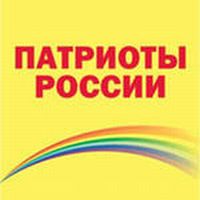 На расчетный счет НРО &quot;Патриоты России&quot; в I квартале поступило более 454 тыс. рублей