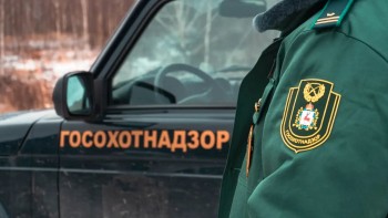 В Нижегородской области выявили 34 нарушения в сфере охоты