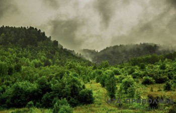 Постоянные рейды введут в заповедниках Башкирии