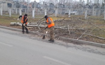 Последствия штормового ветра устраняют в Чебоксарах