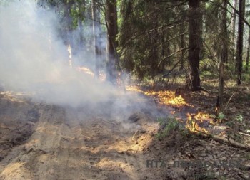 Особый противопожарный режим вводится в Ульяновской области