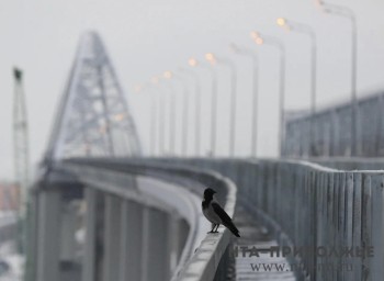 Народные приметы: 5 ноября