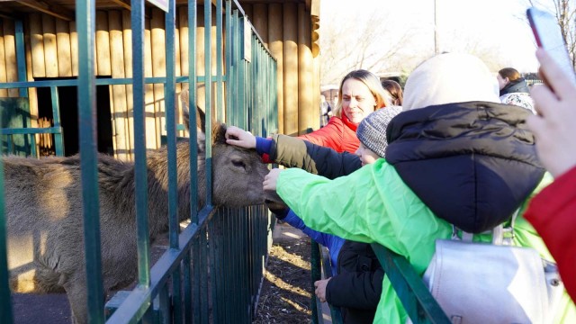 Дети из Донбасса посетили зоопарк "Лимпопо" в Нижнем Новгороде Дети из Донбасса посетили зоопарк "Лимпопо" в Нижнем Новгороде