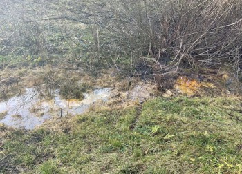 Разлив нефтепродуктов зафиксирован в Кстове Нижнего Новгорода