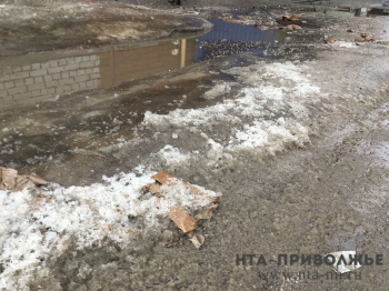 Предприниматель из Нижнего Новгорода просит Президента РФ создать комиссию по оценке работы городской власти в сфере ЖКХ