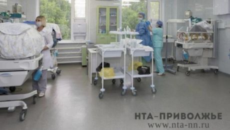 Американских ученых в сфере ЭКО пригласили в Нижегородскую область Американских ученых в сфере ЭКО пригласили в Нижегородскую область