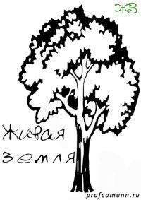 В Нижегородской области 10-14 мая будет работать лесовосстановительный волонтерский лагерь &quot;Живая земля&quot;