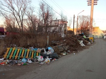 Нижегородское минэкологии проконтролировало уборку несанкционированных свалок