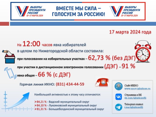 Явка избирателей в Нижегородской области к полудню 17 марта достигла 66%
