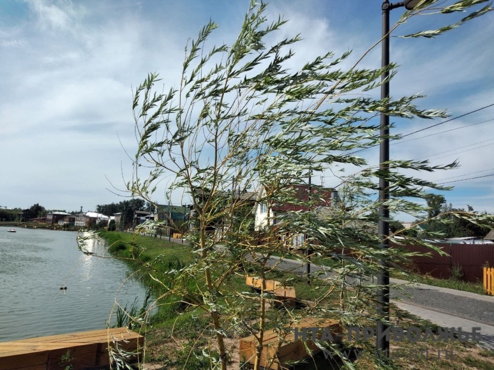 Ветер до 23 м/с прогнозируется в Нижегородской области