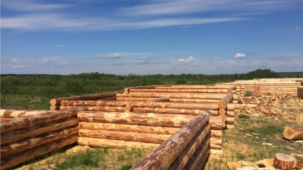 Проверка земельного участка проведена по ул. Чурочная в Чебоксарах Проверка земельного участка проведена по ул. Чурочная в Чебоксарах
