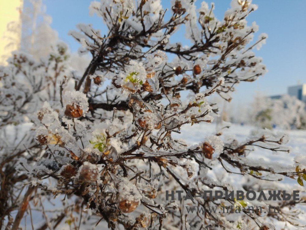 Последний день зимы: праздники и приметы 28 февраля