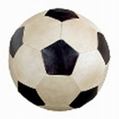 Всемирный день футбола отмечается 10 декабря