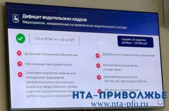 Глава нижегородского Минтранса озвучил среднюю зарплату водителя автобуса