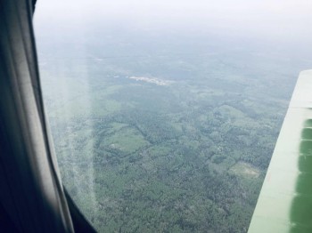 Авиапатрулирование лесов началось в Нижегородской области