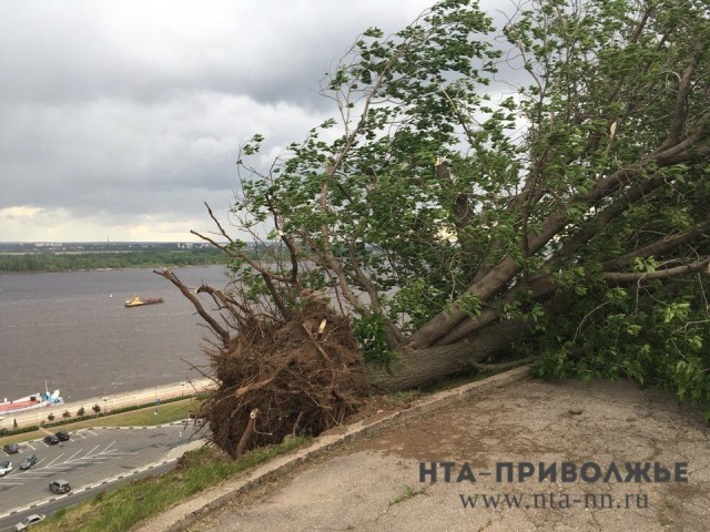 Ураган может развиться в Нижем Новгороде 3 августа