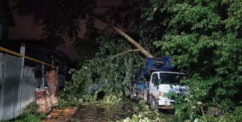 Девять жителей Татарстана погибли во время урагана