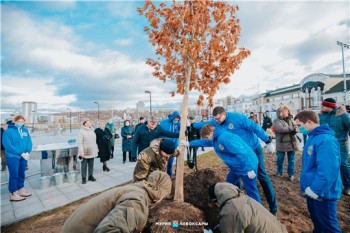 Первый этап озеленения чебоксарской Красной площади завершен