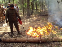 Нижегородское правительство утвердило концепцию развития систем и средств обнаружения и тушения лесных пожаров в регионе до 2015 года