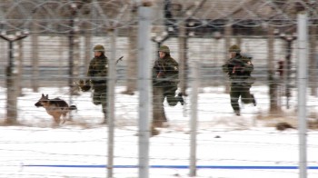 Росгвардейцы с собакой задержали нарушителя границы в ЗАТО Саров Нижегородской области
