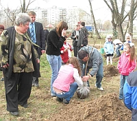 В Канавинском районе Н.Новгорода 6 мая пройдет экологическая акция по посадке деревьев