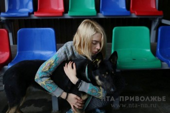 Нижегородцев могут штрафовать за посещение общественных мест с питомцами Нижегородцев могут штрафовать за посещение общественных мест с питомцами