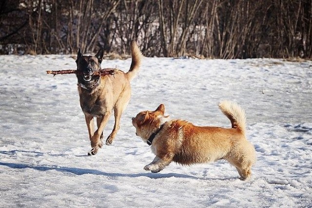 Фото из соцсети