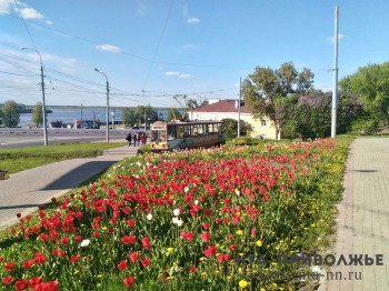 Солнце проглянет в Нижегородской области к концу рабочей недели 