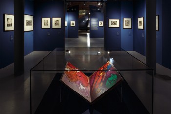 Выставка графики Марка Шагала открылась в Нижнем Новгороде