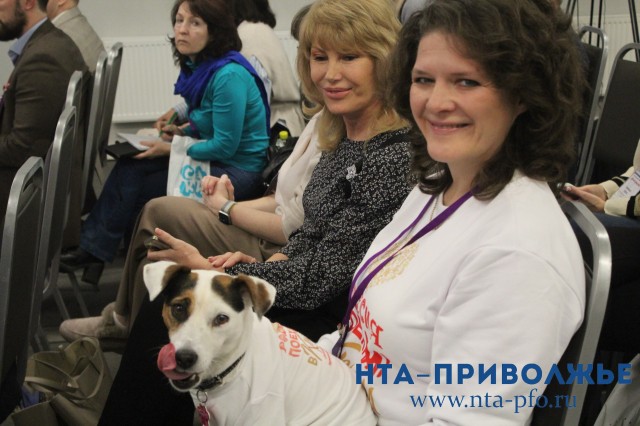 Включение стандарта Pet-friendly для отелей обсудили в Нижнем Новгороде Включение стандарта Pet-friendly для отелей обсудили в Нижнем Новгороде