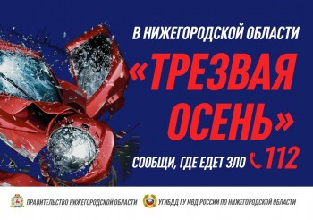 Четыре нетрезвых водителя были задержаны в Нижегородской области в минувшие выходные
