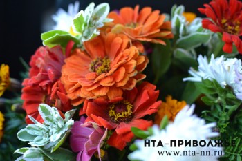По-летнему тёплая погода сохранится в Нижегородской области в начале сентября