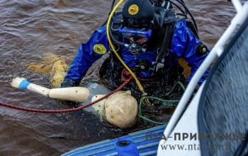 Мужчина утонул в Тонашевском районе Нижегородской области