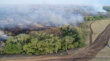 Власти Оренбуржья отрицают угрозу распространения лесного пожара в Ташлинском районе на населённые пункты