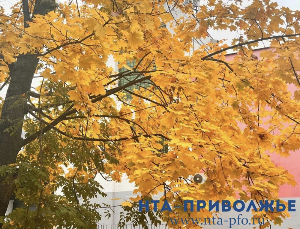 Народные приметы: 24 сентября Народные приметы: 24 сентября