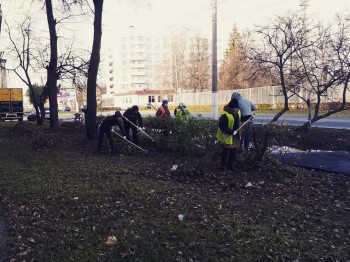 Осенние экологические субботники в Чебоксарах продлятся до 1 ноября