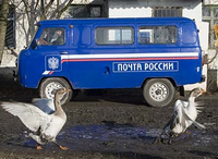 В Н.Новгороде двое мужчин напали с битами на автомобиль, перевозивший деньги для выплаты пенсий