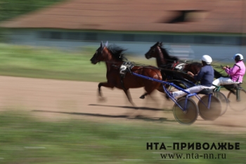 Родители воспитанников нижегородской школы по конному спорту подали иск к ООО &quot;Аллюр&quot; с требованием вернуть земли в муниципальную собственность