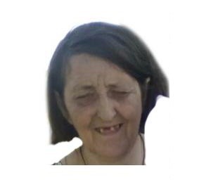 Женщина с таксой пропала в лесу Воскресенского района Нижегородской области