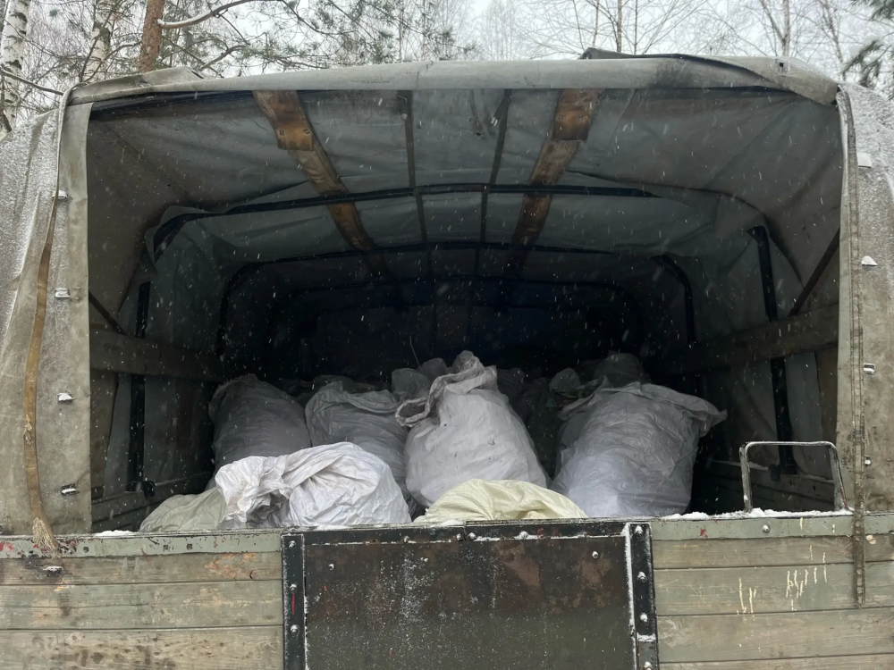 В нижегородских лесах ликвидируют 31 свалку В нижегородских лесах ликвидируют 31 свалку